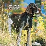 German Wirehaired Pointers 2009 Wall Calendar 12