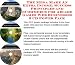 Search : The Mega Make An Extra Income, Success Principles and eCommerce for Arcade Games Web Businesses 3 CD Power Pack