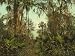 Florida's St. Johns River, ca. 1898 - Exceptional Print of a Vintage Photochrom Image from the Library of Congress Collection
