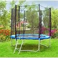 SixBros. Sport - XXL Professional Gartentrampolin Trampolin 1,85 m � - T185 | Leiter | Sicherheitsnetz | Wetterplane | Modell 2012