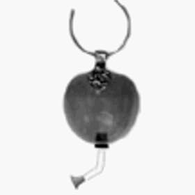 Apple Hummingbird Feeder by Heritage Farms