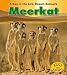Book cover for 9781432947828