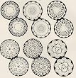 Jeannetta Kendall Dollhouse Miniature Doilies