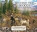 Lang 2017 Beyond The Woods Wall Calendar, 13.375 x 24 inches (17991001894)