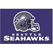 Fanmats 5945 Seattle Seahawks Starter Floor Mat