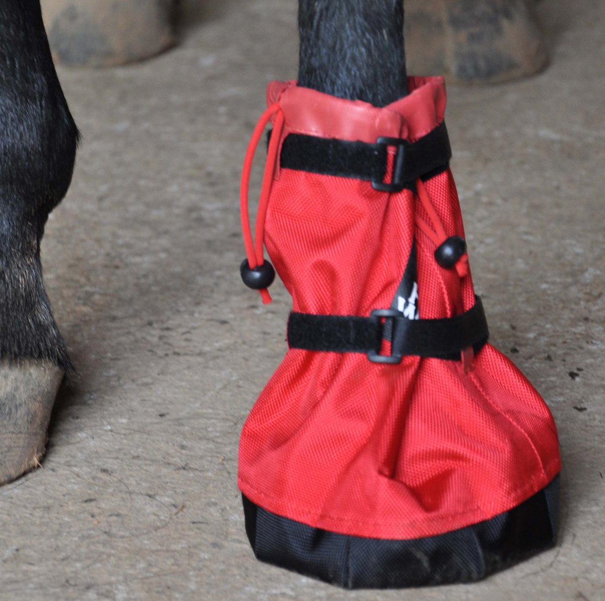 Купить Hoof Wraps Soaker Boot в интернетмагазине Amazon с доставкой из