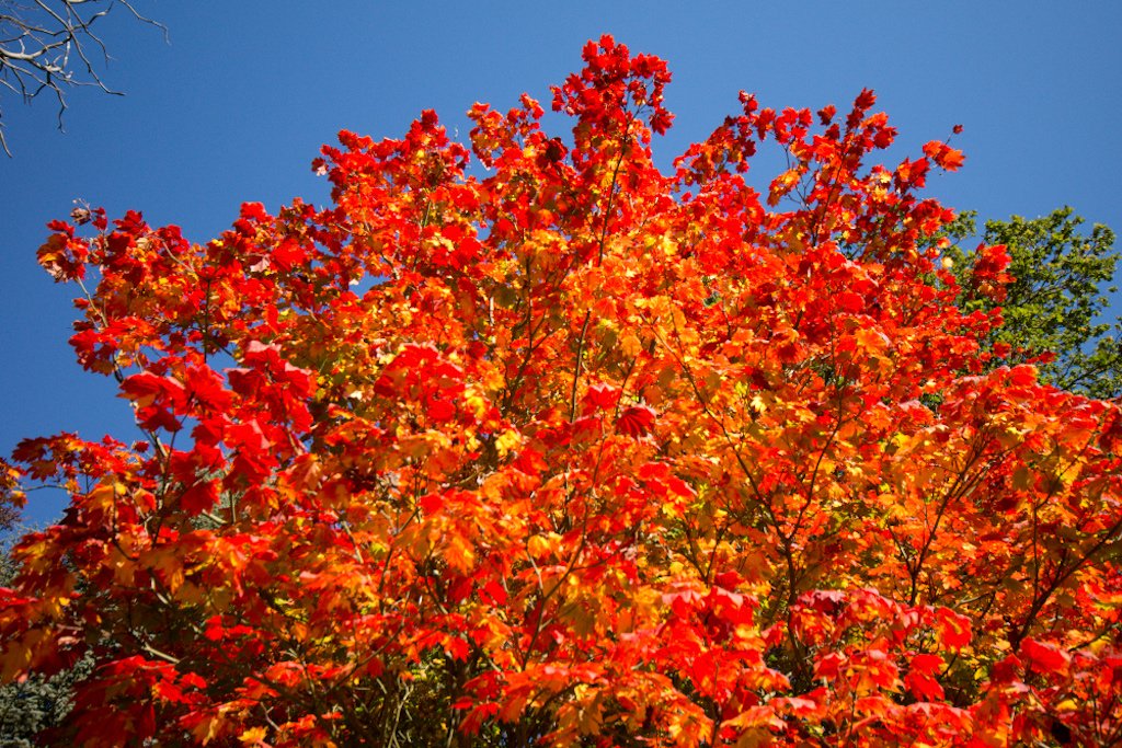 Amazon.com: Interactive Online Photography Course: Posters & Prints Amazon.com: Interactive Online Photography Course: Posters & Prints