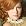 Allison Moorer