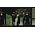 Thumbnail image of Beady Eye