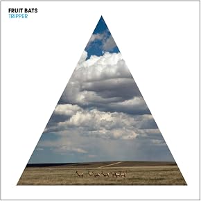 Bilder von Fruit Bats