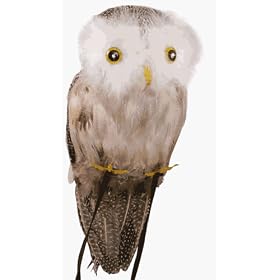 Fake Owl Halloween Prop