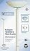 Artiva 21029WH WHT Halogen Floor Lamp - White