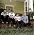 Thumbnail image of Bombay Bicycle Club