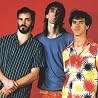 Image of The Incredible Casuals