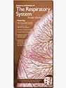 Anatomical Chart Company's Illustrated Pocket Anatomy: Anatomy & Disorders Of The Respiratory System Study Guide 11 Panels / 20 Full-color Illustrations / 9" X 4" Folded / 9" X 24" Unfolded