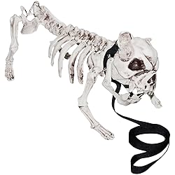 halloween skeleton dog on leash