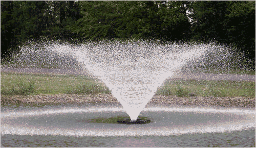 Kasco Aerating Fountain - 2 HP, 240V, 100-Ft. Power Cord, Model# 8400VFX100