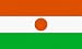 Niger Flag 7