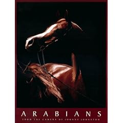 Arabians From the Camera of Johnny Johnston