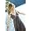 Vignette de Dar Williams