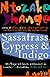 Sassafras, Cypress and Indigo