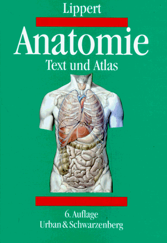 lateinische