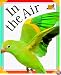 In the Air (Paperback Big Pictures)