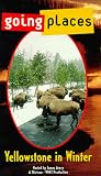 Going Places: Yellowstone in Winter