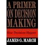 A Primer on Decision Making
