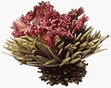 Teaposy Red Song Tea- Box of 6
