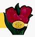 Book Magnetic Tulip Companion (The Magnet Gardener)