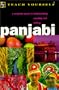 Panjabi (Teach Yourself (McGraw-Hill))