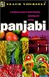 Teach Yourself Panjabi Complete Course (Teach Yourself)