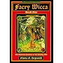 Faery Wicca, Book 2: The Shamanic Practices of the Cunning Arts (The Ancient Oral Faery Tradition of Ireland)