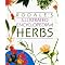 Vegetable Gardening Practical Advice