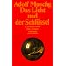 Das Licht und der Schl�ssel: Erziehungsroman eines Vampirs (suhrkamp taschenbuch)