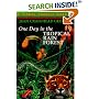 One Day in the Tropical Rain Forest