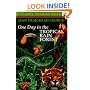 One Day in the Tropical Rain Forest