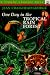 One Day in the Tropical Rain Forest