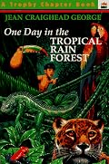 One Day in the Tropical Rain Forest