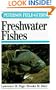 Peterson Field Guide(R) to Freshwater Fishes: North America (The Peterson Field Guide Series)
