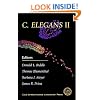 C. Elegans II