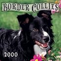 Border Collies 2000 Calendar