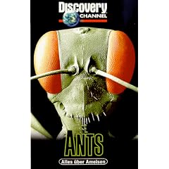Discovery Channel - Ants: Alles �ber Ameisen [VHS]