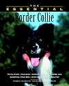 The Essential Border Collie