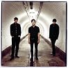 Image of White Lies