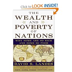 The Wealth and Poverty of Nations: Why Some Are So Rich and Some So Poor