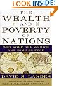 The Wealth and Poverty of Nations: Why Some Are So Rich and Some So Poor