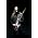 Vignette de Wintersun