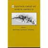 Mountain Sheep of North America